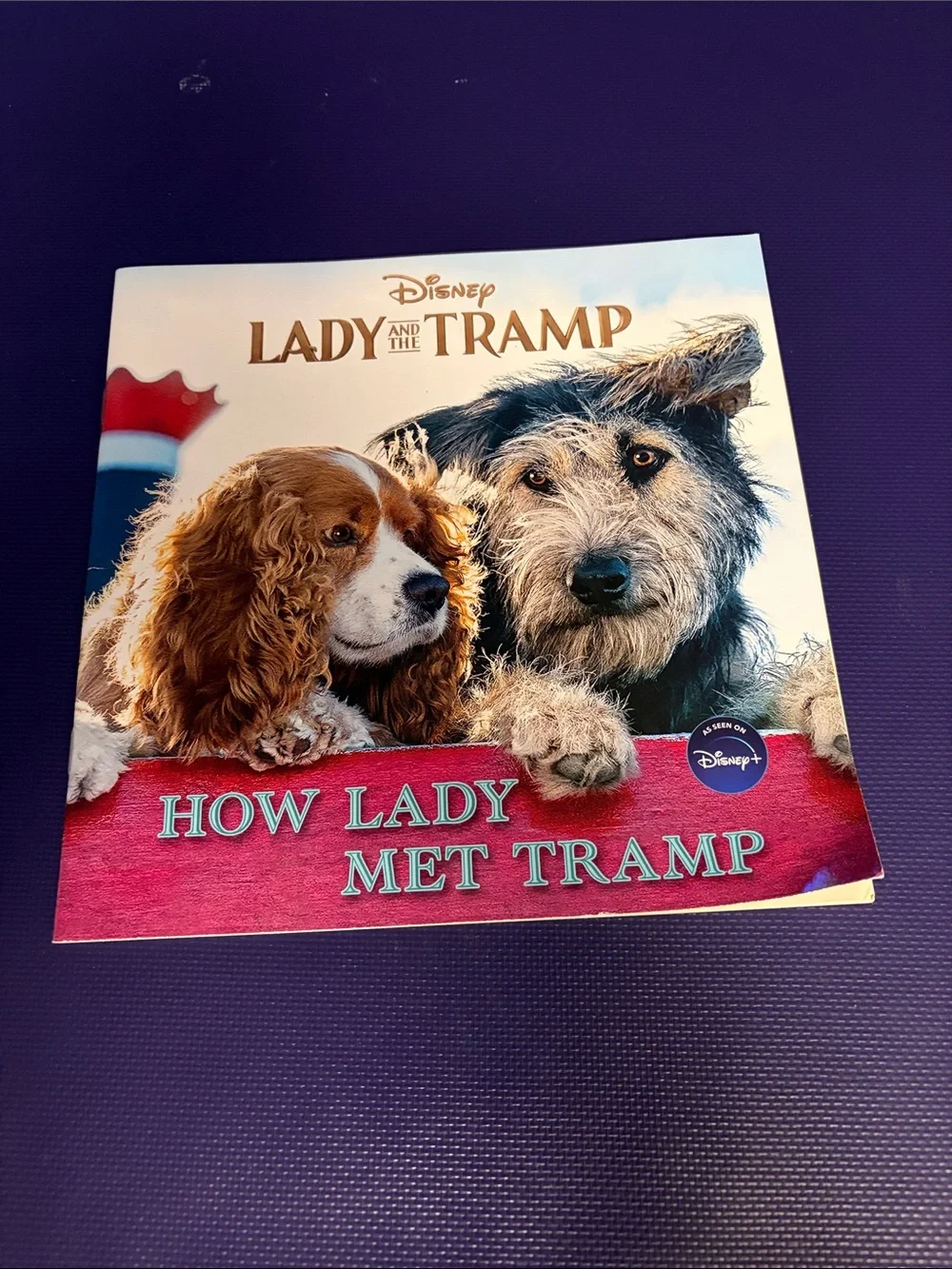 Disney How Lady Met Tramp Picture Book - Red, Brown, Gray
